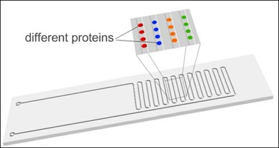 microfluidic protein biochip