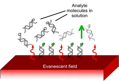 Labeled analyte molecules bound to the surface are excited by the evanescent field. 