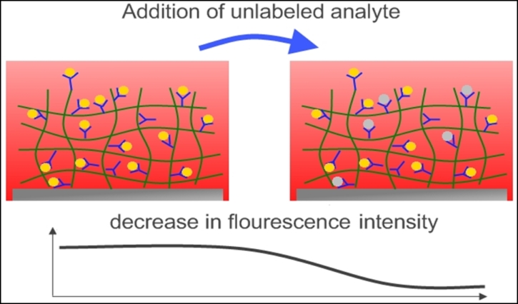 Competitive Imunoassay in hydrogels