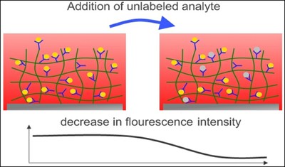 Competitive Imunoassay in hydrogels