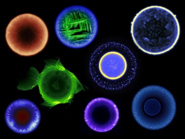Micro Planets