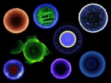 Micro Planets