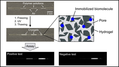 Cryogel - Figure 2