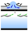 ACS features CPI paper with video