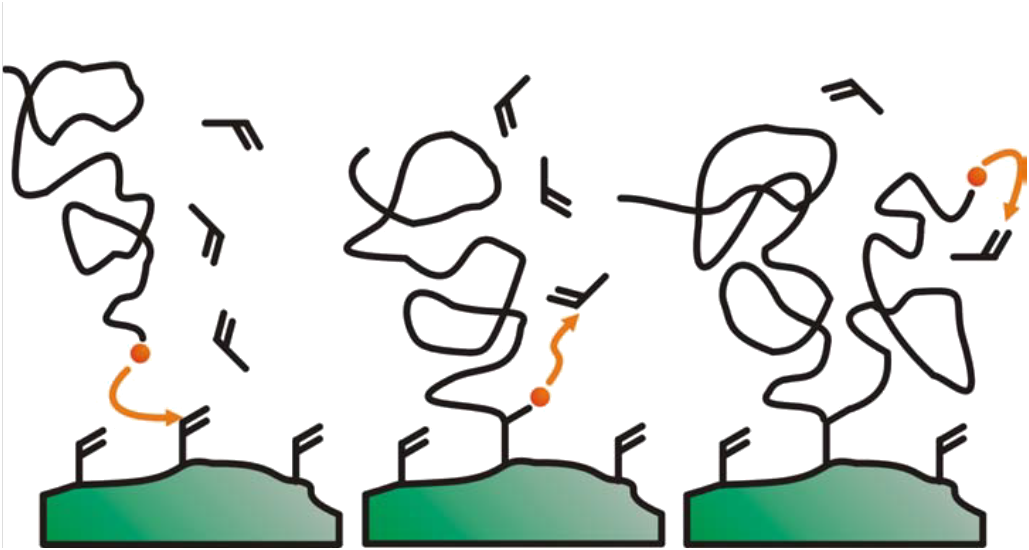 140428-grafting-through-mechanism.png