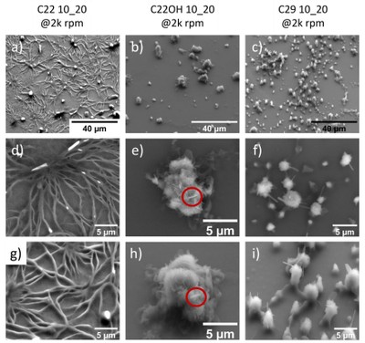 examples of surface morphologies studied by marcel eckert.