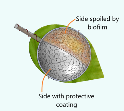 220808-ecosense-leave-cuvette-biofouling.png