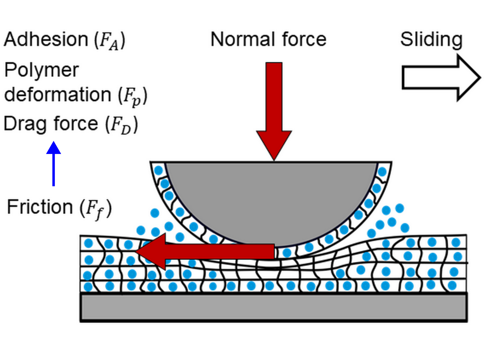 friction-maryam.png