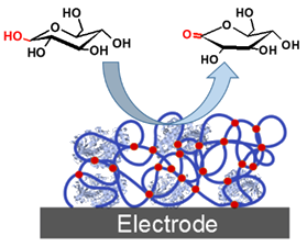 140415-biofuelcell-electrode.png