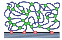 surface-attached polymer network (schematic)