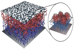 Mixed polymer brush (schematic)